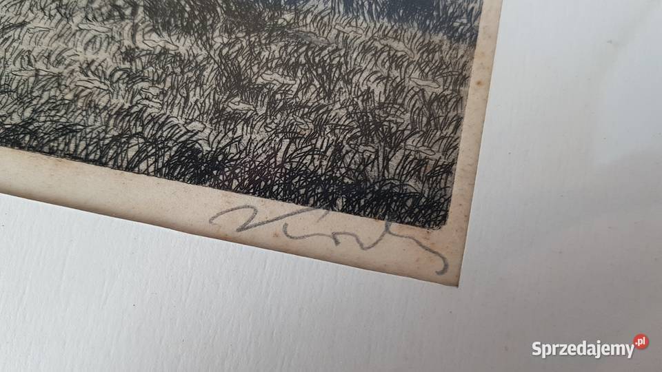 Stara sygnowana grafika Brzozy Pozostałe śląskie