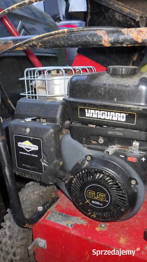 Dmuchawa Spalinowa z Napeadmi Briggs Stratton Rzeszów sprzedam