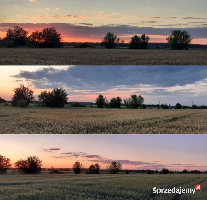 Działka budowlana 2800m2 DOBRZYŃ Adamówek
