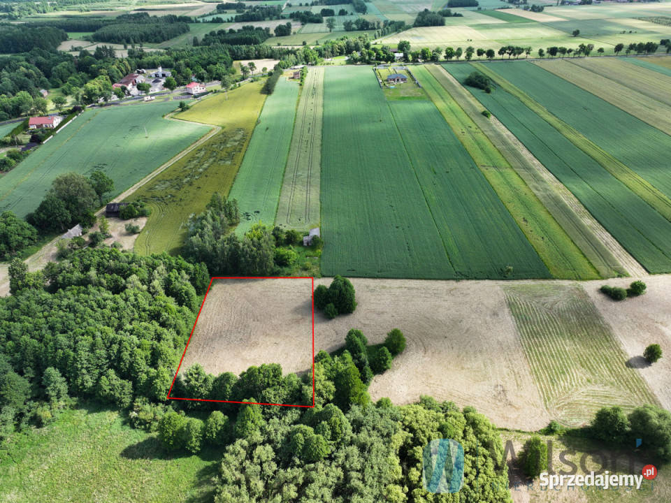 Działka Nowa Brzeźnica 16790m2 sprzedam