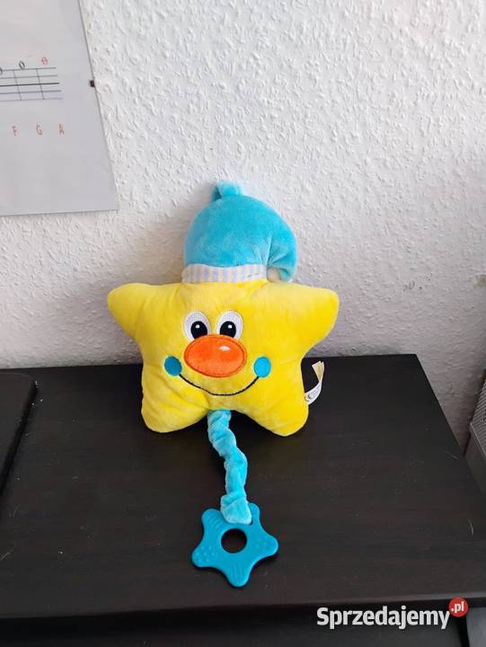 Miś gwiazdka Ostrowiec Świętokrzyski sprzedam
