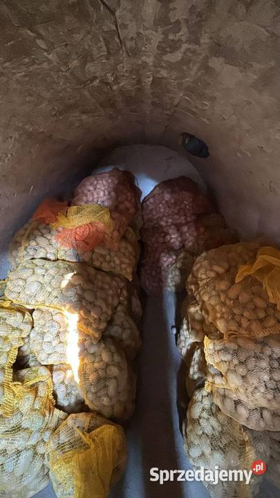 Sprzedam ziemniaki jadalnedo sadzenia 3 odmiany Zakrzówek