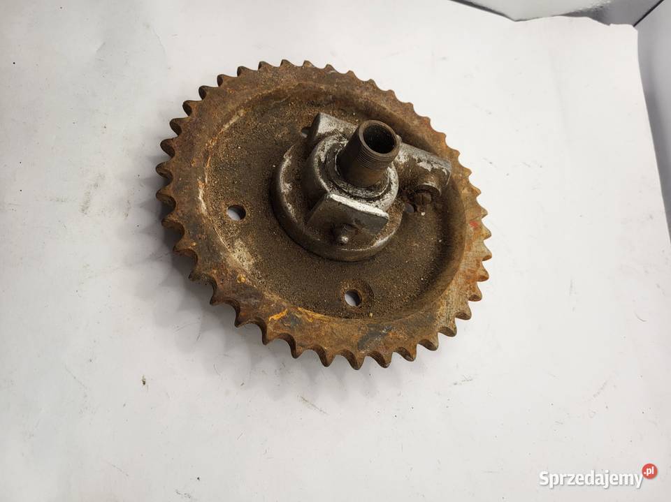 ZĘBATKA TYŁ SLIMAP KAPĘD TRIUMPH śląskie Rybnik sprzedam