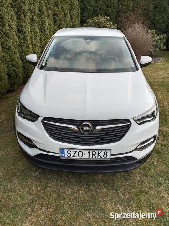 Opel Grandland zadbany bezwypadkowy Żory