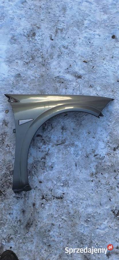 Błotnik prawy Renault Megane II Błotniki śląskie Myszków