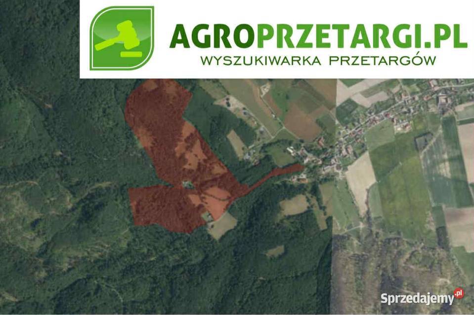 Dzierżawa 1580 ha gruntu rolnego Ząbkowice Śląskie