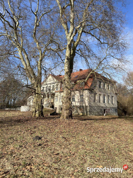 Na sprzedaż Zabytkowy Pałac z dużą działką Skórzyno