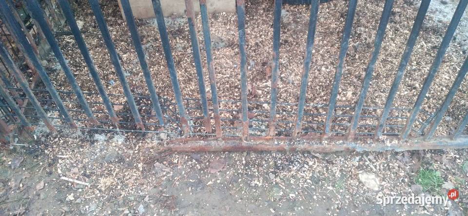 Kojec psa i buda Dla psów Brzesko