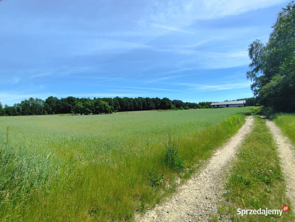 Sprzedam działkę budowlana 1765 m2 1763m2 Słotwiny