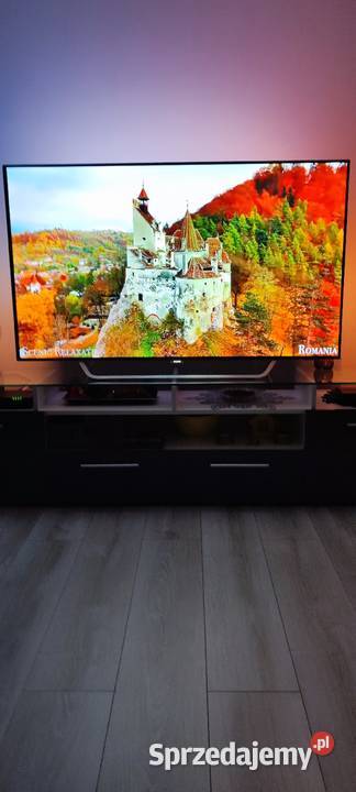 OLED 4K UHD 55cale kujawsko-pomorskie Grudziądz