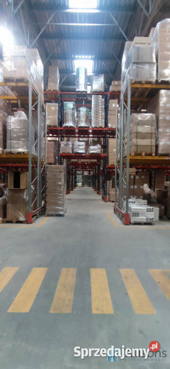 Lokal 3041m2 Czosnów Sprzedaż mazowieckie