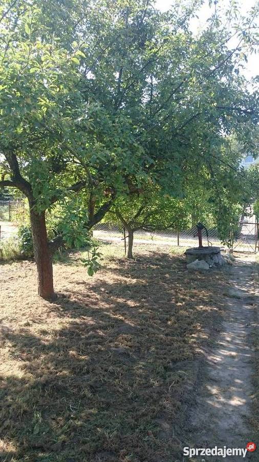 DZIAŁKA ROD W POBIEDZISKACH Grunty i działki sprzedam