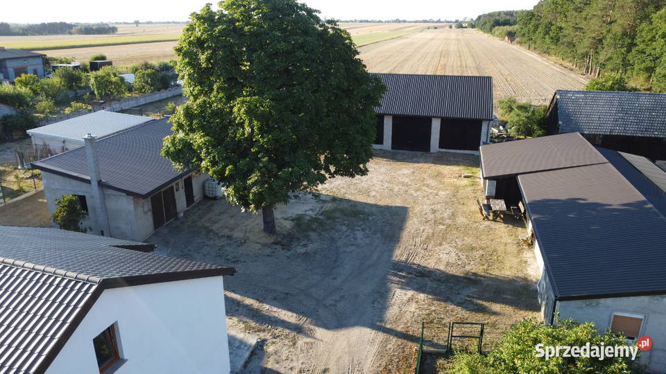 Siedlisko dom pod lasem Kamionka Bolesławiec