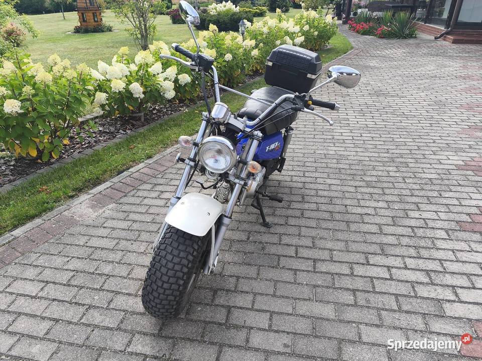 Motorower Sky team zarejestrowany Mierzeszyn