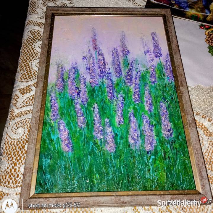 Lawenda Bychawka Trzecia