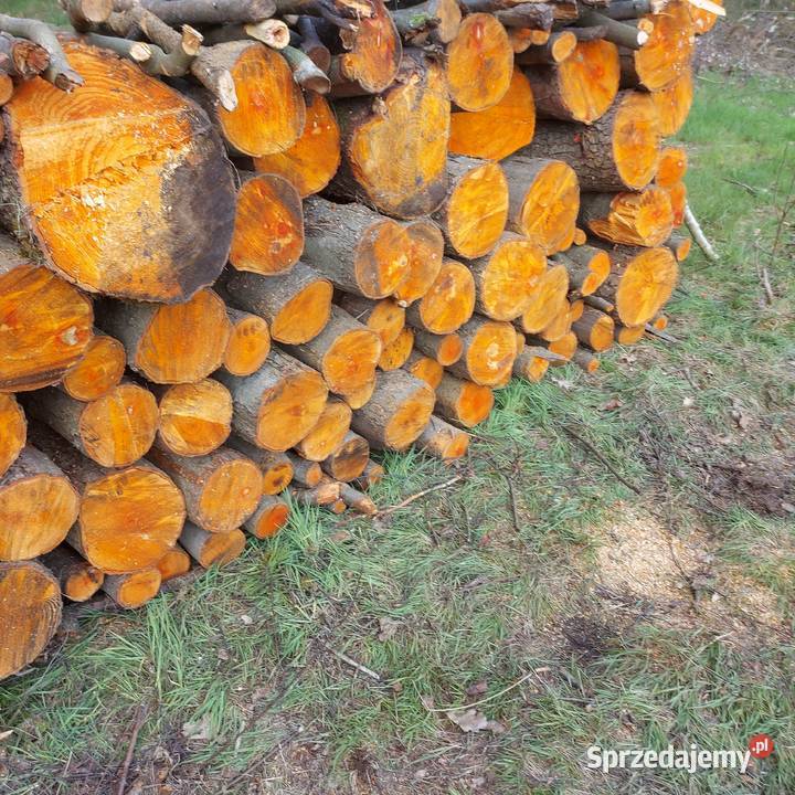 Olcha Kominkowe opalowe do wędzenia Legnica