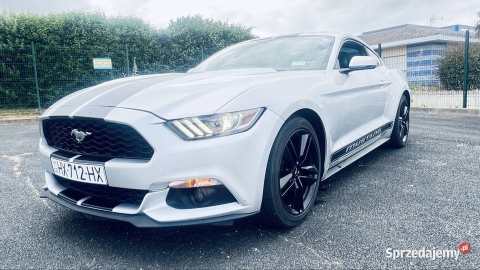 Ford Mustang EcoBoost sprzedam zamienię Jarosław
