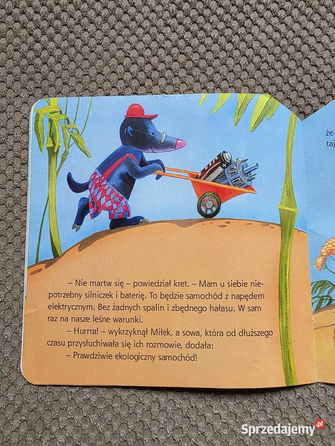 Leśny samochodzik Bogusław Michalec Kraków