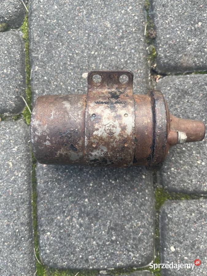 Cewka m72 kujawsko-pomorskie Toruń