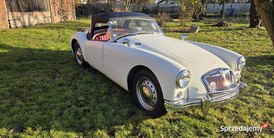 MG MGA 1956 Jelcz-Laskowice