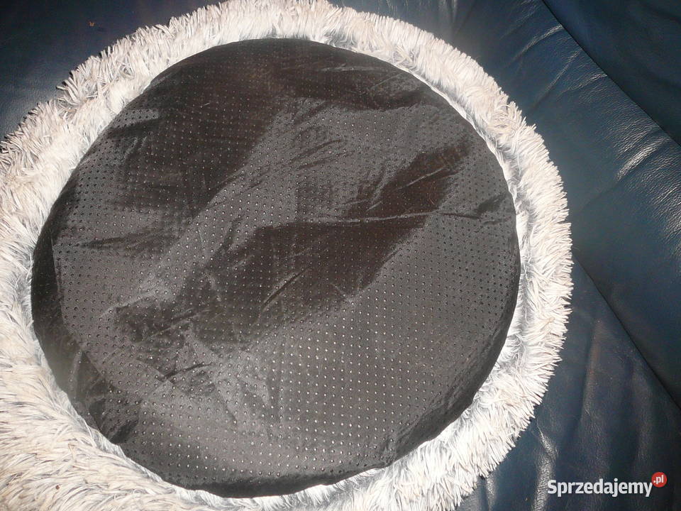 Legowisko małego psakota buda futrzana dolnośląskie Wrocław