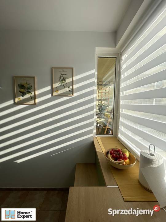 2pok 52met Długosza BALKONPIWNICAWINDA Wrocław Liczba pokoi 2 sprzedam