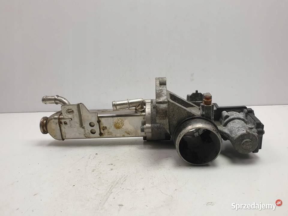 Volvo V70 III XC70 II 24 D5 ZAWÓR EGR Chłodnica Chełm