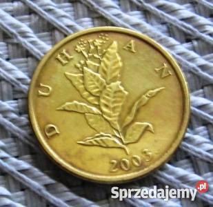 Chorwacja 10 Lipa 13 Kalisz