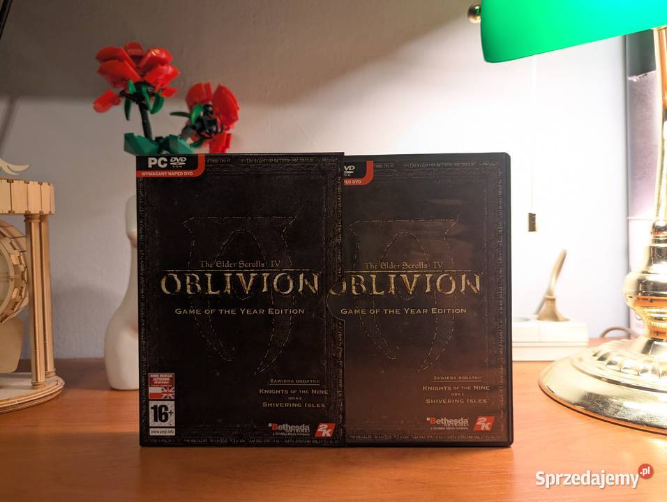 The Elder Scrolls IV Oblivion polskie wydanie Dąbrowa Górnicza sprzedam