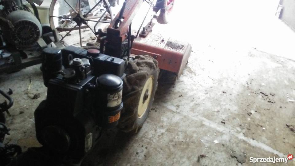 Goldoni proffesional jolly Gąbin