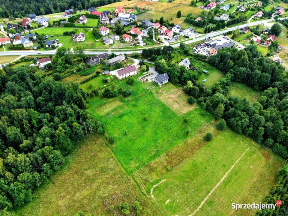 DZIAŁKA BUDOWLANA JORDANÓW Jordanów sprzedam