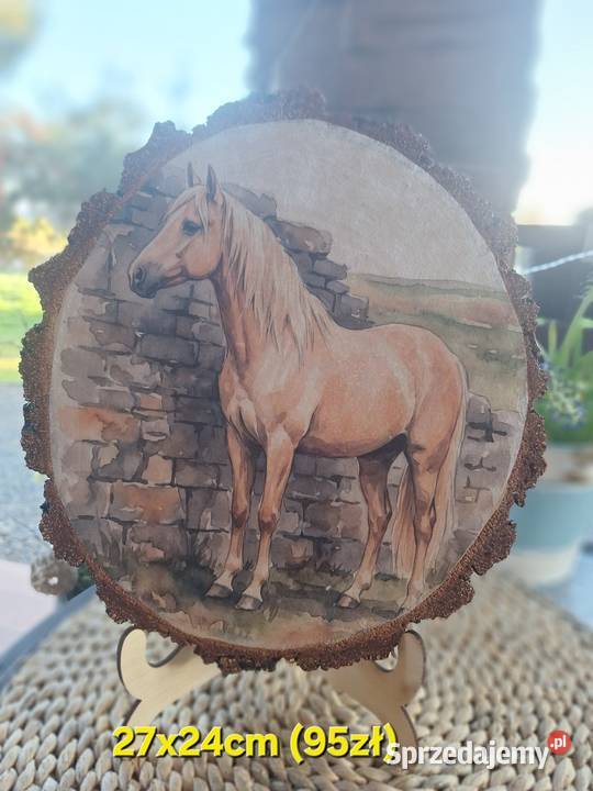 Obraz na drewnie Strzyżów