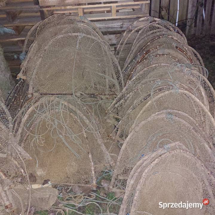 Żaki rybackie 100 Gdańsk