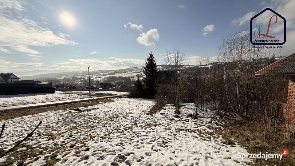 Działka budowlana 61 ar Trzetrzewina gm Chełmiec 6100m2 Sprzedaż małopolskie