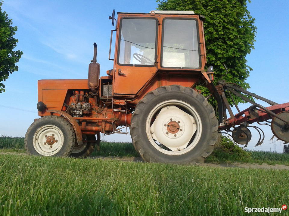 Wladymirec T25 i kultywator Gozdowo sprzedam