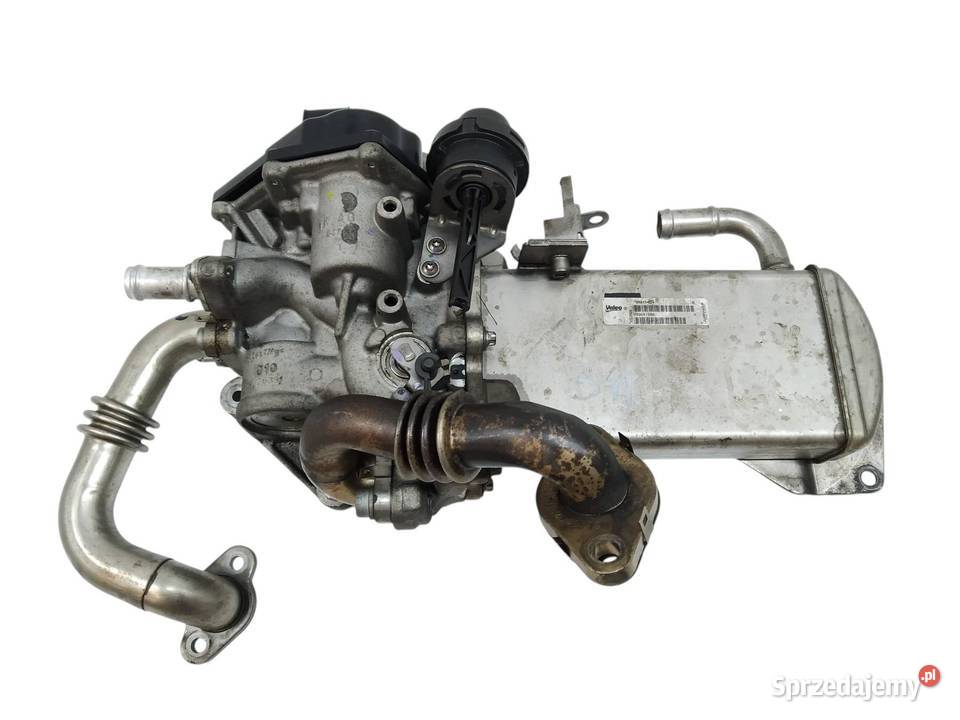 CHŁODNICA SPALIN 03L131512DN 20 TDI Audi A4 IV sprzedam