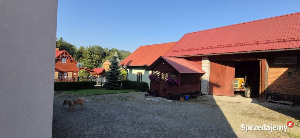 Sprzedam dom z zabudowaniami godpodarczymi 2 piętra Krzyżówki