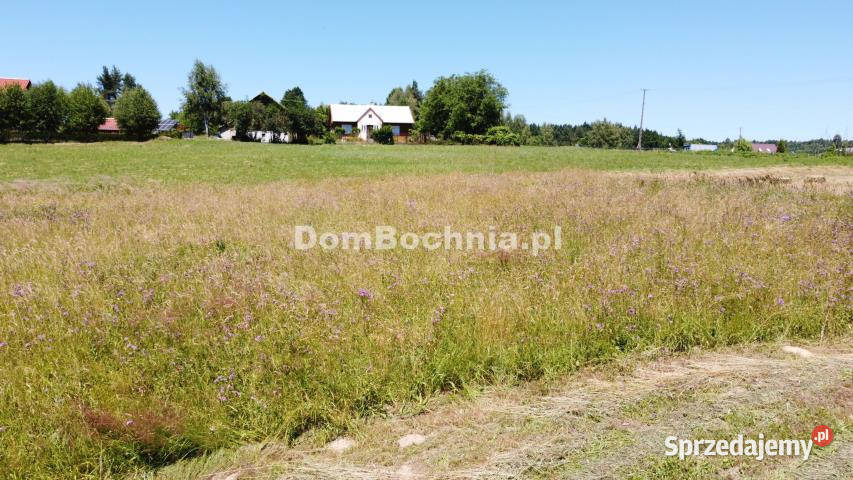 Działka Olchawa 953m2 Sprzedaż