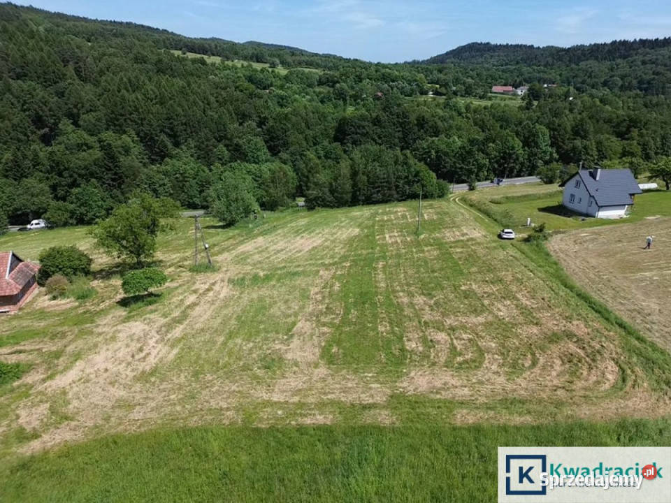 Działka 1589m2 Czarnorzeki Sprzedaż