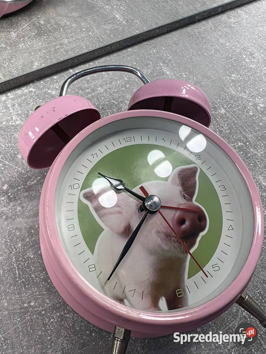 Budzik ze świnką świnią różowy HIT