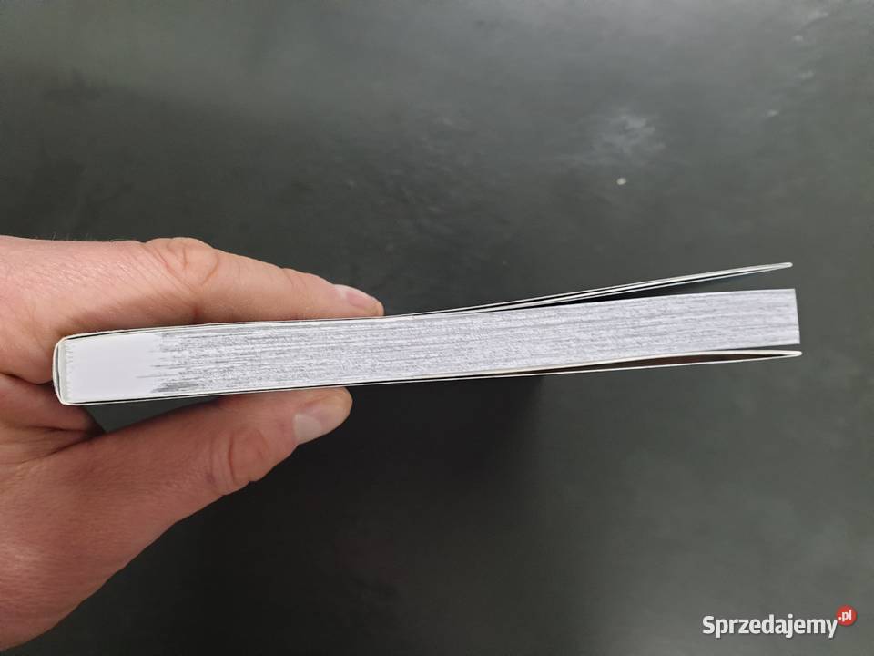 Ludwika tom 3 Manga Polskie Gdynia