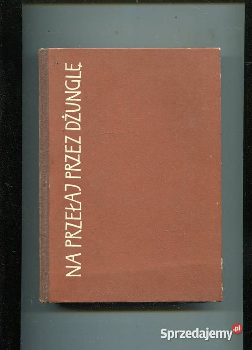 Na przełaj dżunglę Gauze Szczecin