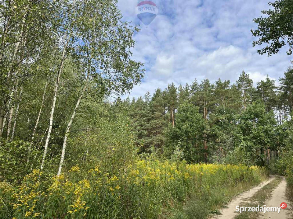 Działka rolna z samosiejkami Pustelnik