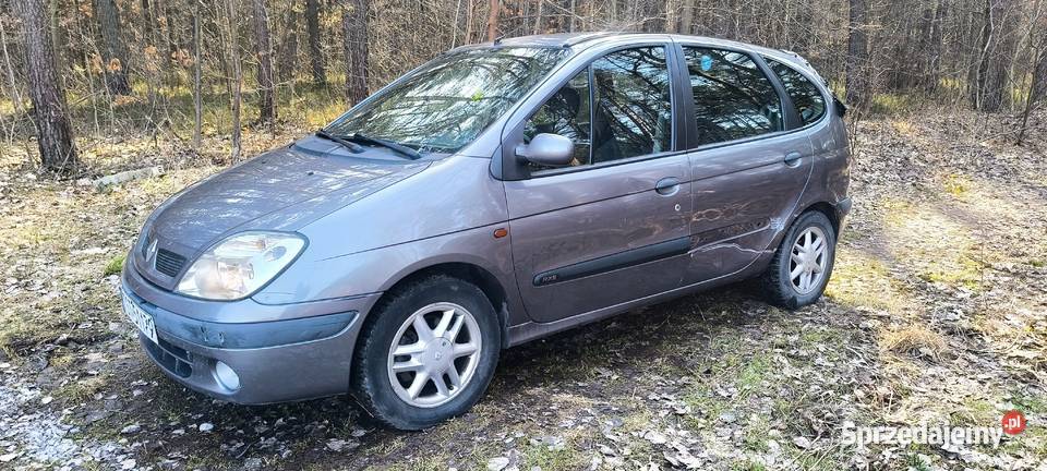 Renault Scenic Starachowice