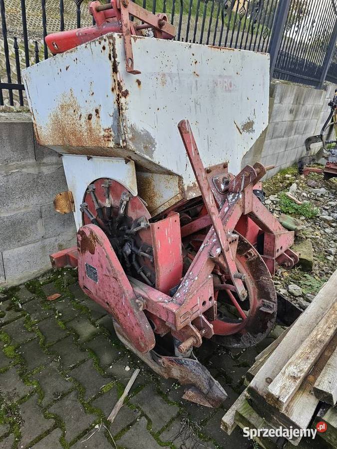 Sadzarka czeska Kraków