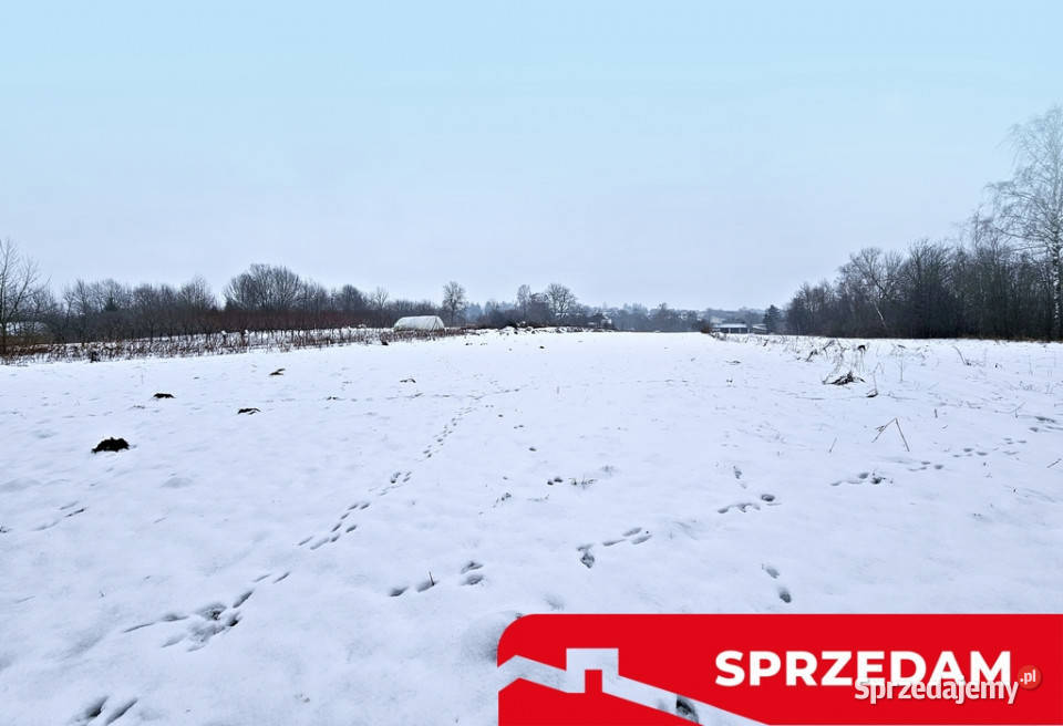 Drewniany dom z dużą działką pole sad las 10730m2 Karczmiska Pierwsze