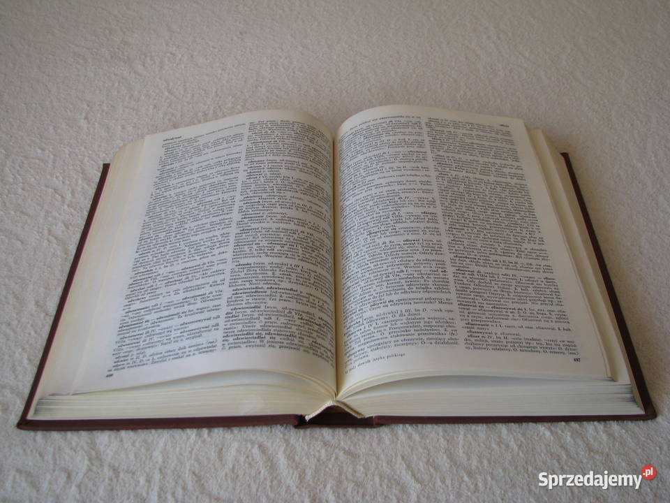 Mały Słownik Języka Polskiego PWN red Stanisław małopolskie Brzegi