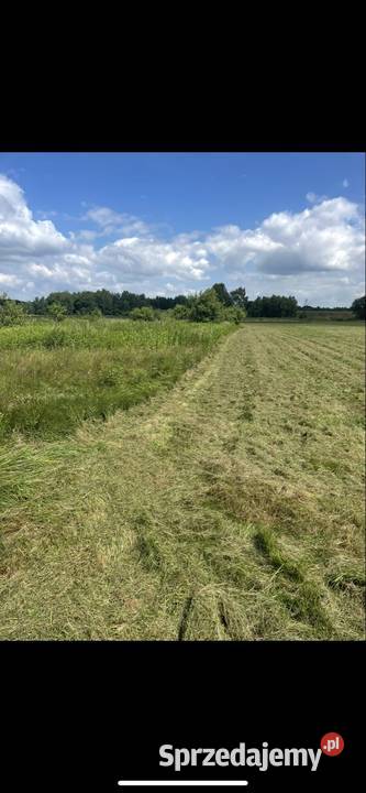 Kosiarka sadownicza Stare Żukowice