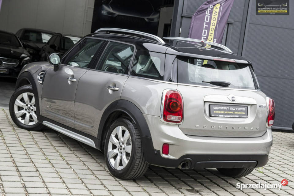 Mini Countryman LEDY LIFT 4x4 Navi Elklapa wspomaganie kierownicy Countryman Dębogórze