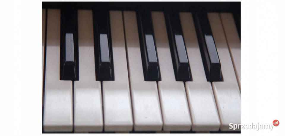 Roland E14 15 16 28 35 36 38 40 48 50 66 68 330 Międzychód